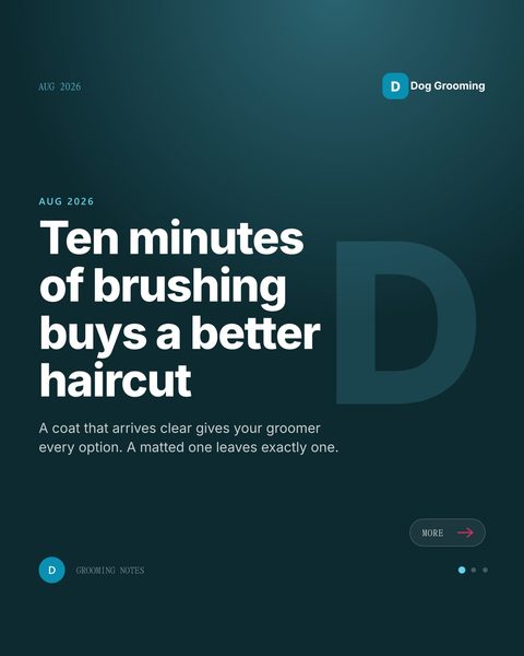 Sample Mica Social post for a dog grooming salon about brushing between appointments