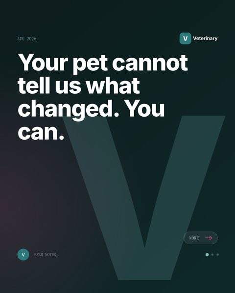 Sample Mica Social post for a veterinary clinic about preparing for an appointment